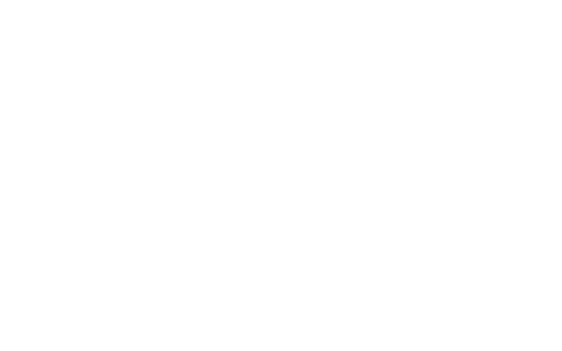 nettl-logo12