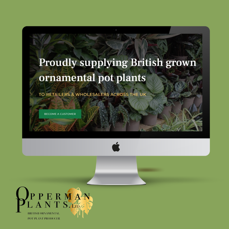 Web Design for Opperman Plants